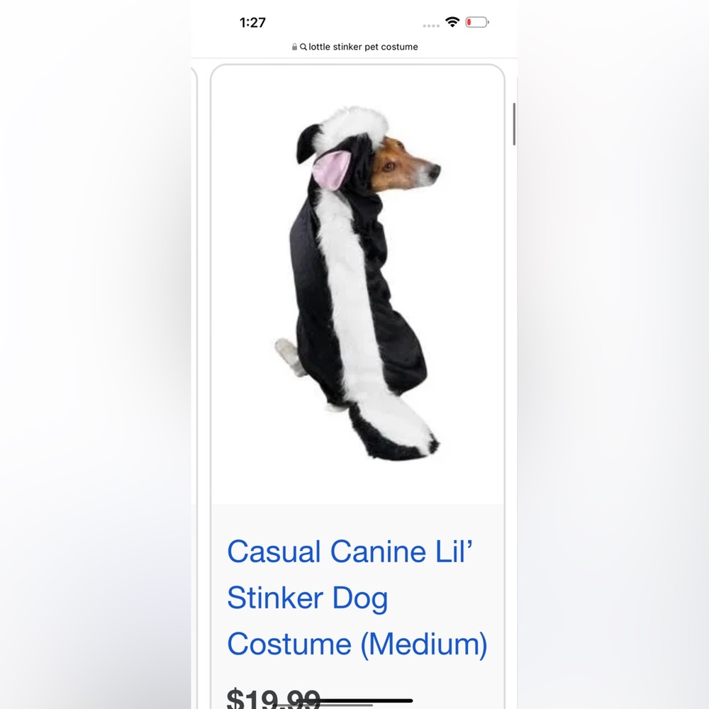Little Stinker Pet Costume